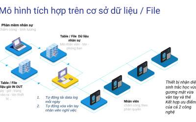 bộ sưu tập các framework hữu dụng cho công việc bán hàng 3 4 cách lấy dữ liệu máy chấm công từ nhiều địa điểm trong các doanh nghiệp nhiều chi nhánh
